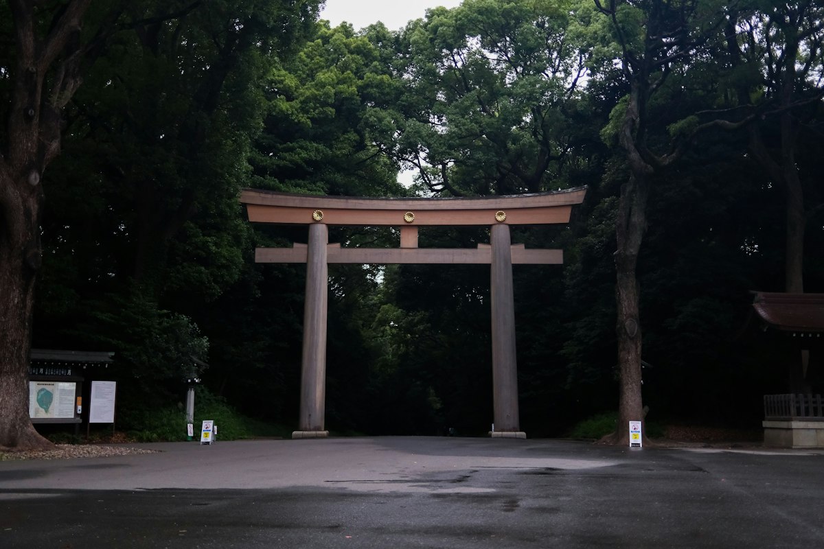 Cổng Otorii bằng gỗ lớn giữa rừng cây đền Meiji Jingu