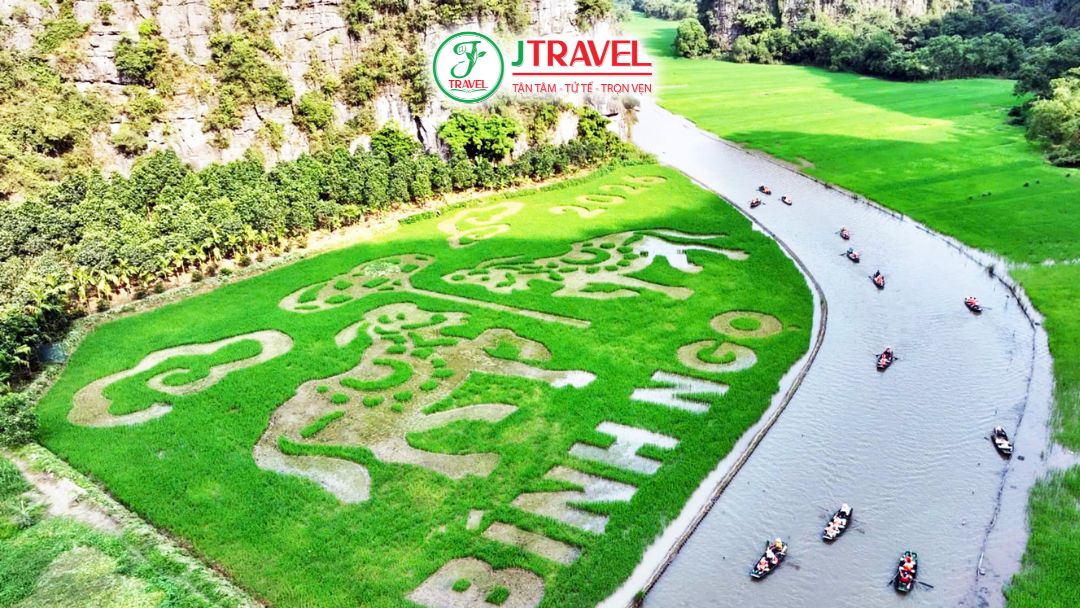 Hình ảnh ngựa khổng lồ trên cánh đồng lúa Tam Cốc Ninh Bình 2026