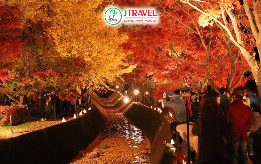 Thời gian đẹp nhất để ngắm lá đỏ tại Momiji Kairo
