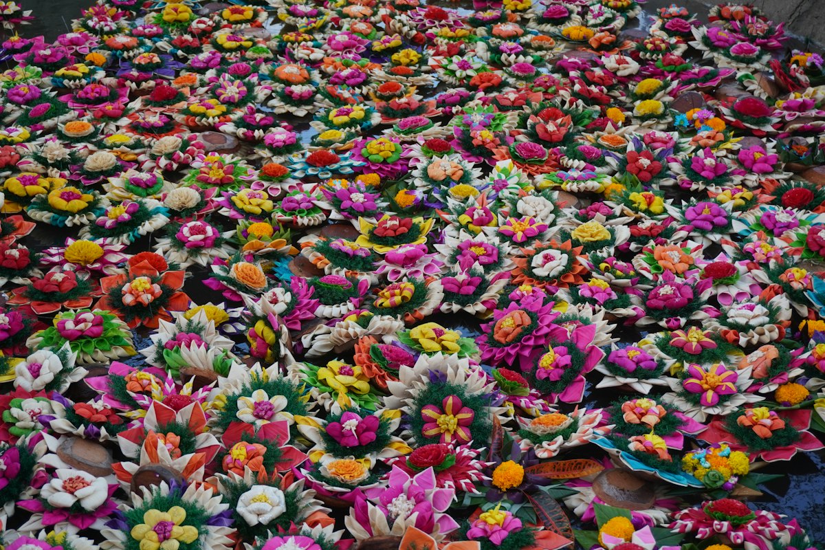 Những chiếc krathong kết hoa thả trên mặt nước ở Chiang Mai