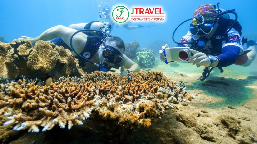 Lặn ngắm san hô trong làn nước trong vắt