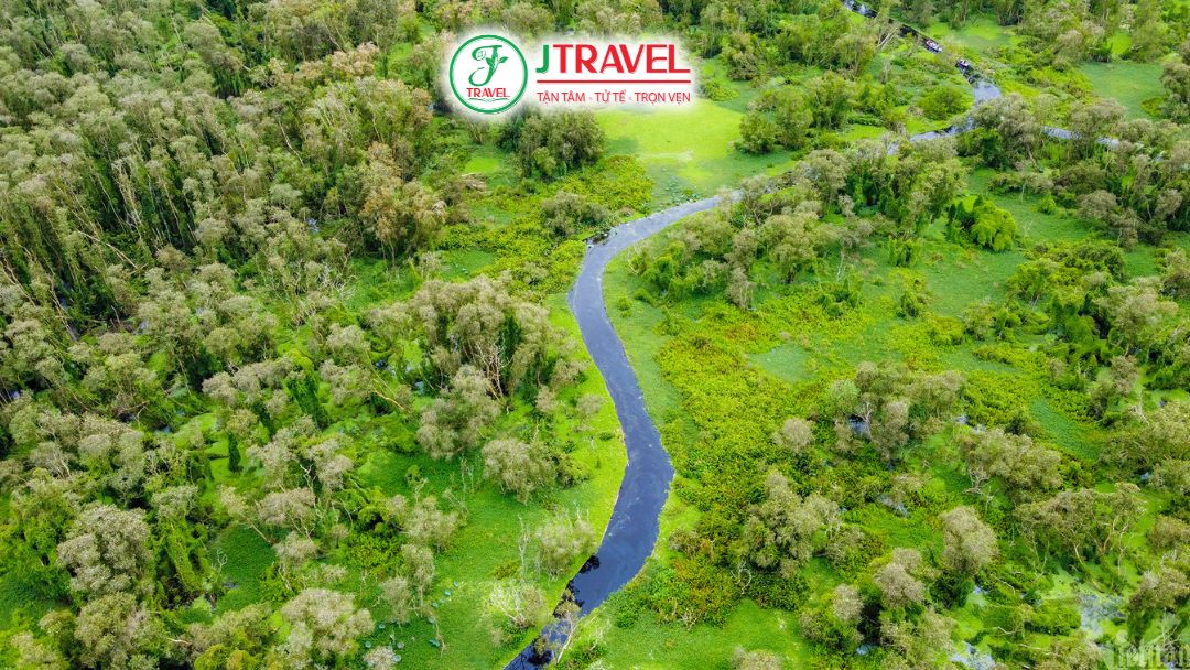 Rừng Tràm Trà Sư – An Giang Nguồn: Internet