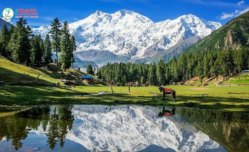 Đồng cỏ Fairy Meadows và núi Nanga Parbat tại Pakistan