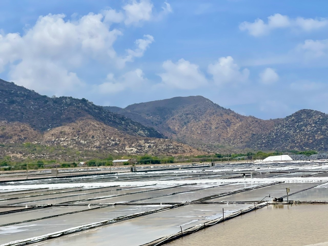Tour Nha Trang - Phiêu Lưu Đảo Khỉ Vinpearl Harbour 
