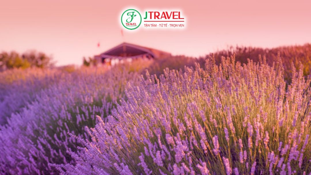 Kuyucak – Provence Của Thổ Nhĩ Kỳ