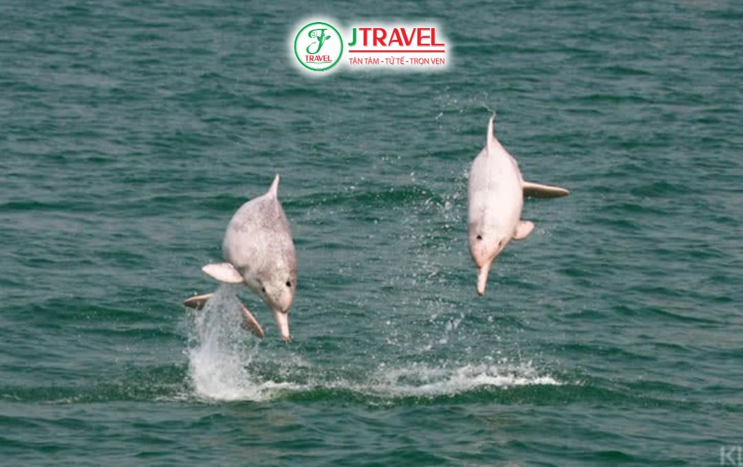 Những trải nghiệm không nên bỏ lỡ tại Jeju