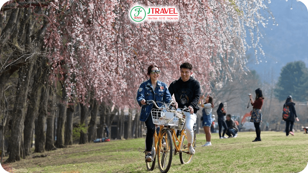 Thuê xe đạp chạy vòng quanh đảo Nami