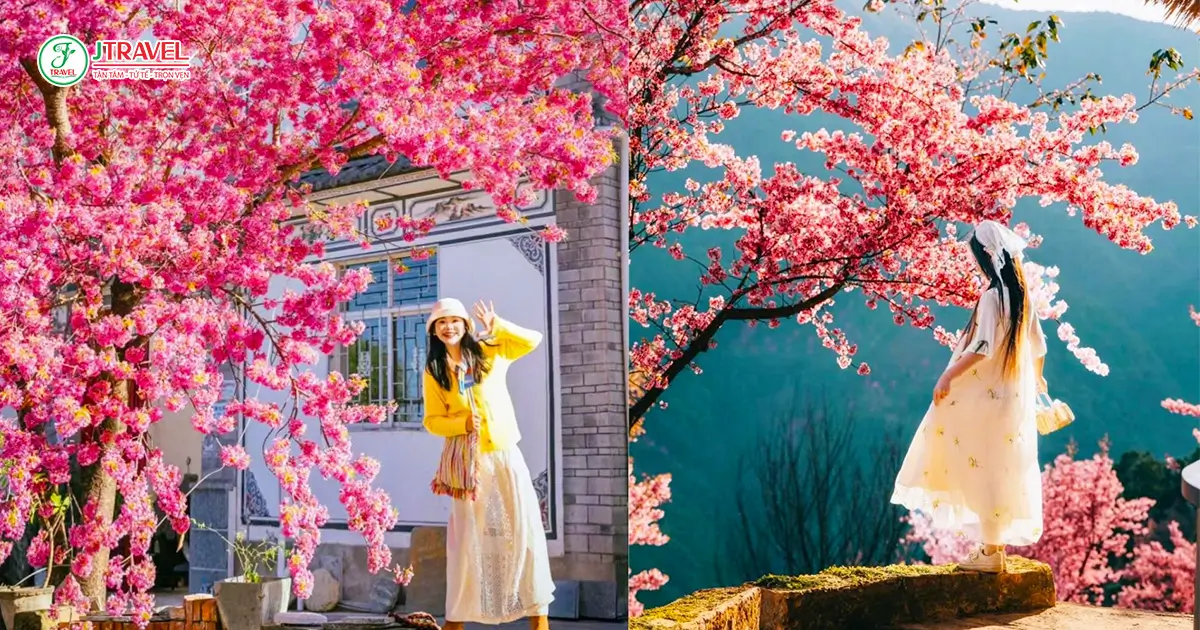 Du lịch Côn Minh mùa xuân mặc gì