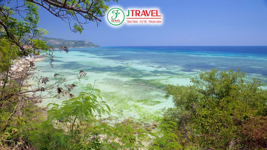 Vị trí Oslob và khu Tan-awan Cebu nơi trải nghiệm bơi cùng cá mập voi bắt đầu