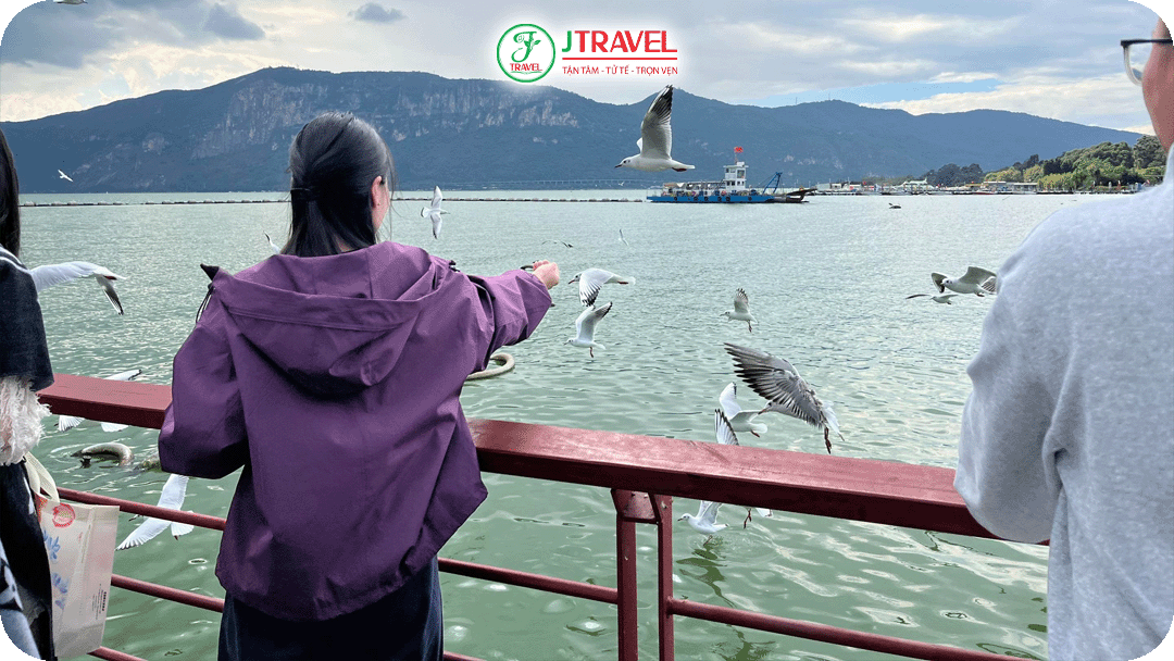 Tham quan Hồ Điền Trì và chụp ảnh cùng hải âu
