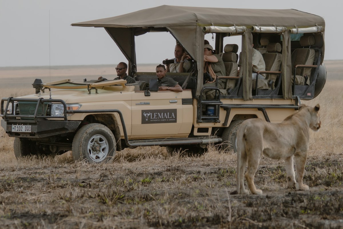 Du khách ngồi trên xe safari quan sát sư tử ở Serengeti