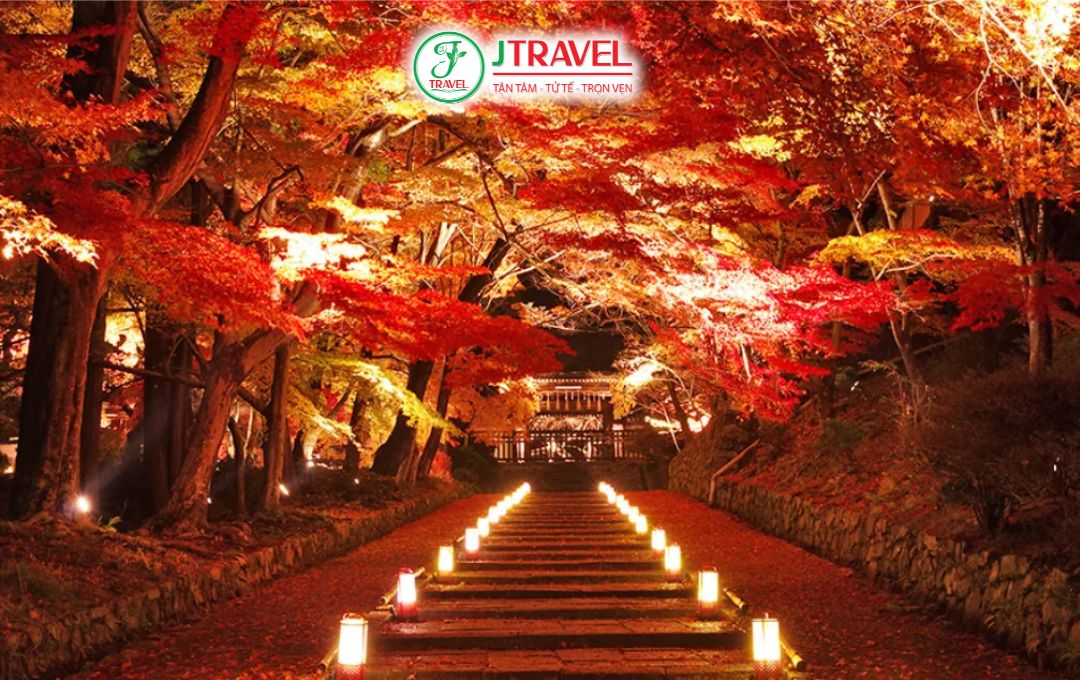 Mùa lá đỏ Momiji nổi tiếng thế giới