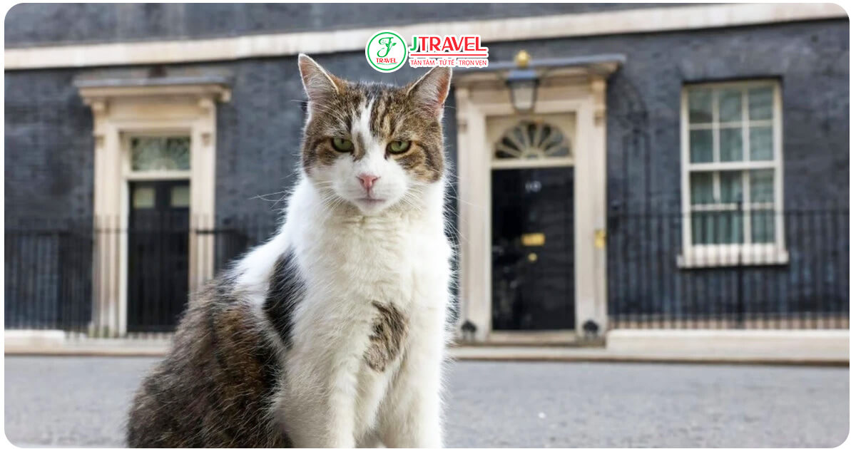 Ngôi Nhà Số 10 Phố Downing 2