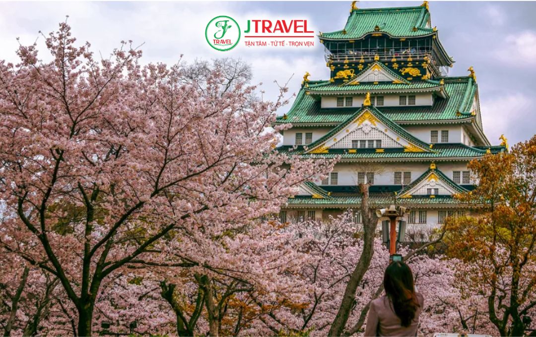 Osaka mùa hoa anh đào