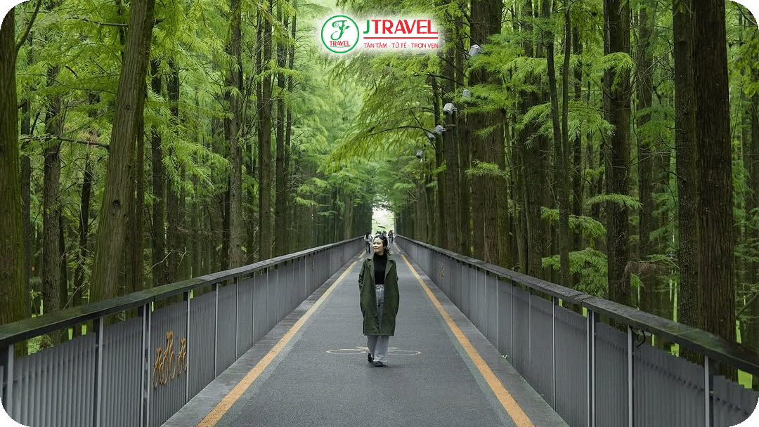 Đi bộ hoặc đạp xe dạo trên những con đường mòn quanh hồ