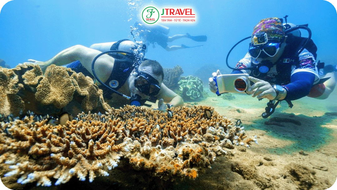 Snorkeling là hoạt động không thể bỏ qua tại Cù Lao Mái Nhà