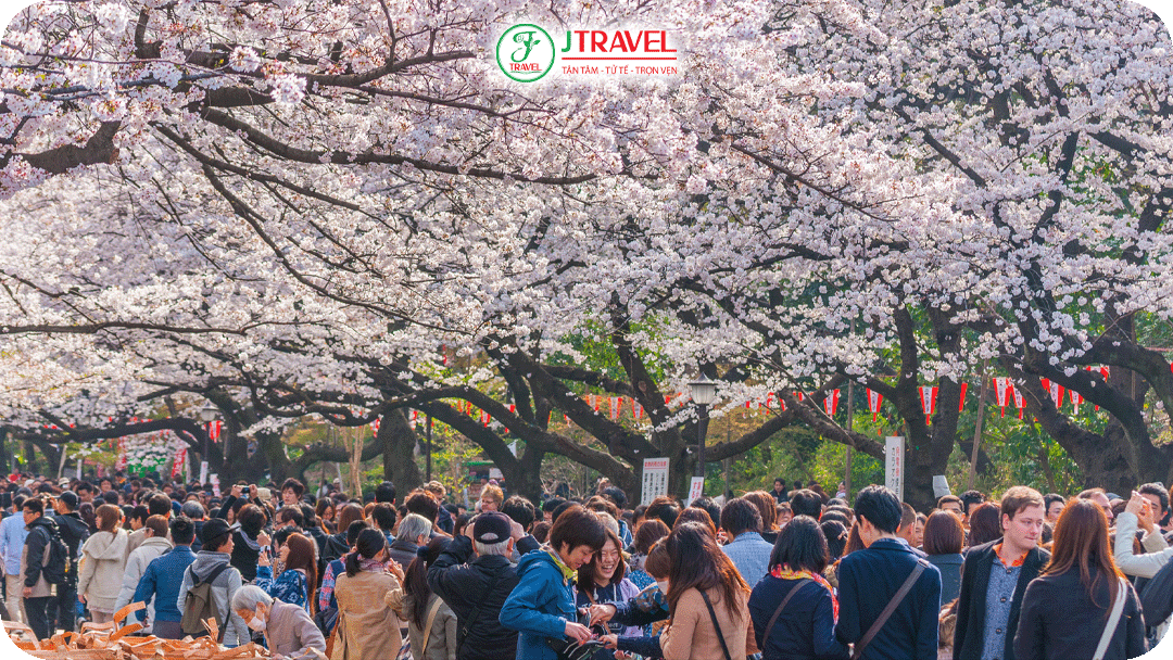 Tokyo Ueno Sakura Matsuri (cuối tháng 3) – lễ hội truyền thống nhất Tokyo