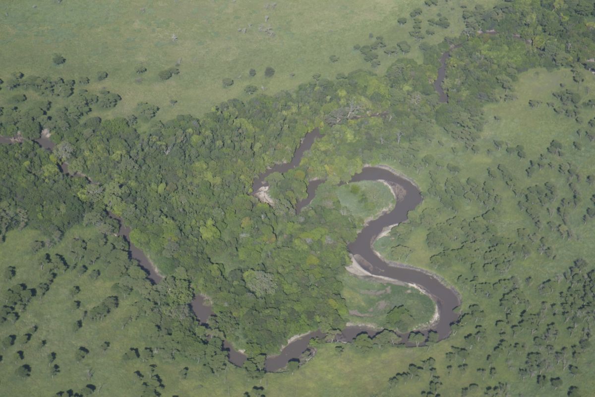 Sông Grumeti uốn lượn giữa thảo nguyên Serengeti nhìn từ trên cao