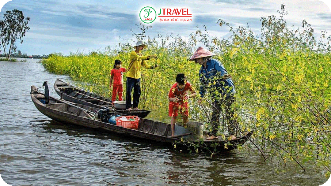 Bơi xuồng hái bông điên điển mùa nước nổi thú vị