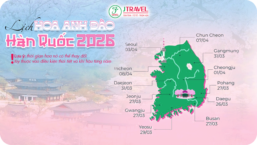 Dự kiến lịch ngắm hoa anh đào Hàn Quốc 2026