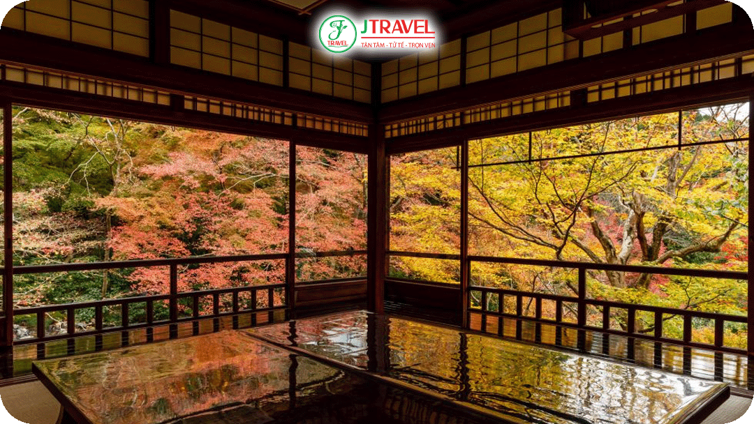 Ruriko - in nổi tiếng với căn phòng gỗ có mặt bàn bóng loáng như gương