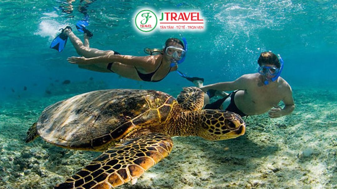 Snorkeling moalboal buổi sáng tầm nhìn rõ dưới nước