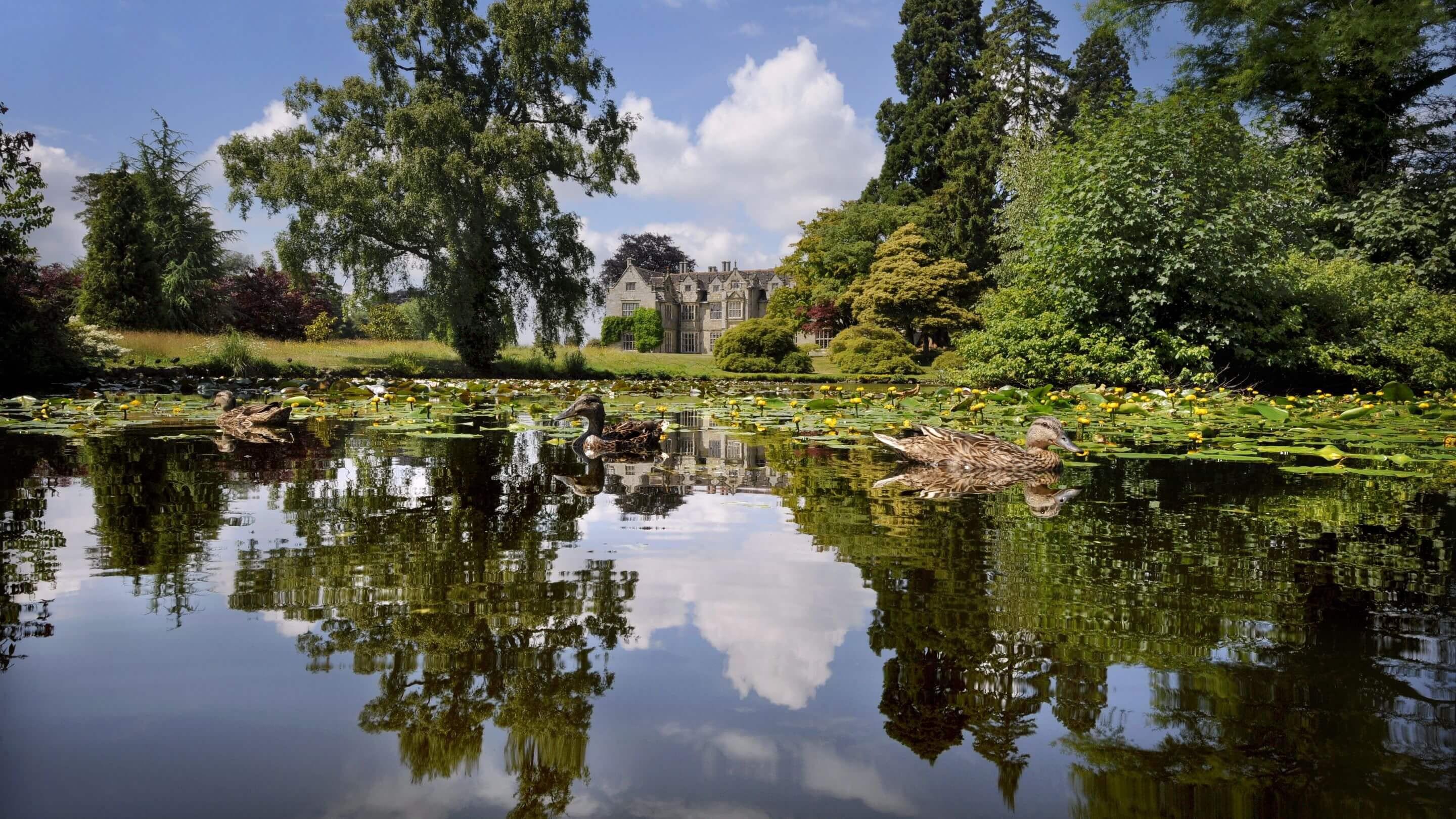 Nơi đây sở hữu không gian xanh ấn tượng giữa vùng Wakehurst Sussex