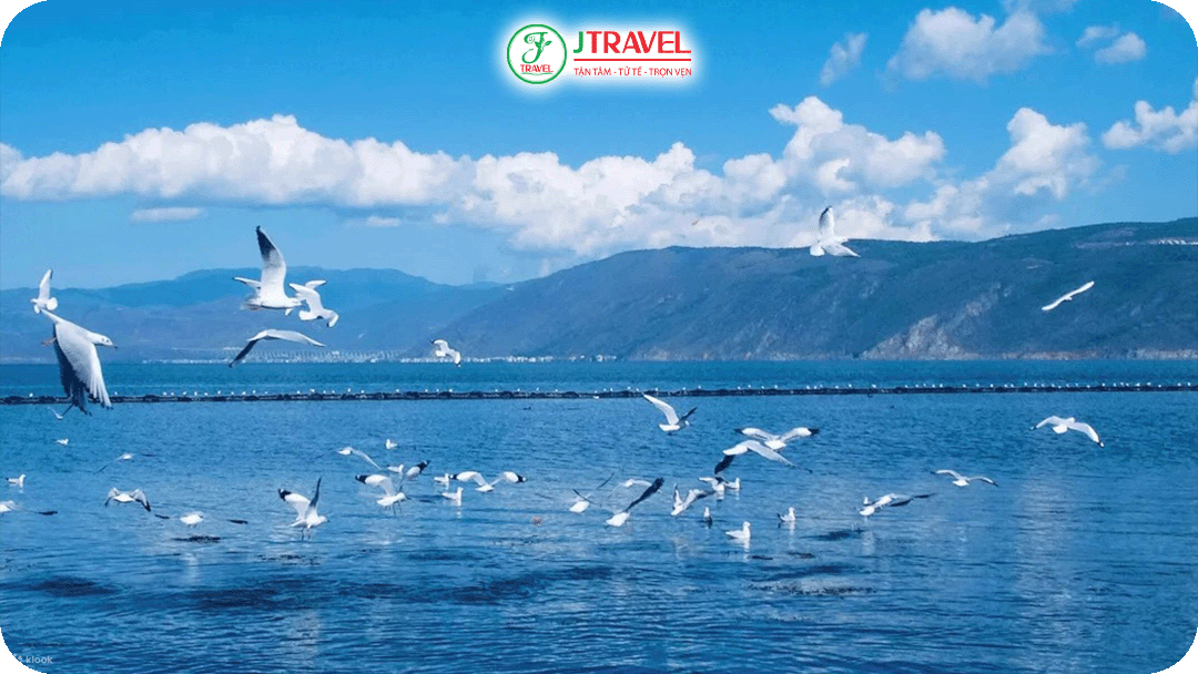 Nhiều người gọi hồ Điền Trì là “biển của Côn Minh” vì diện tích rộng lớn