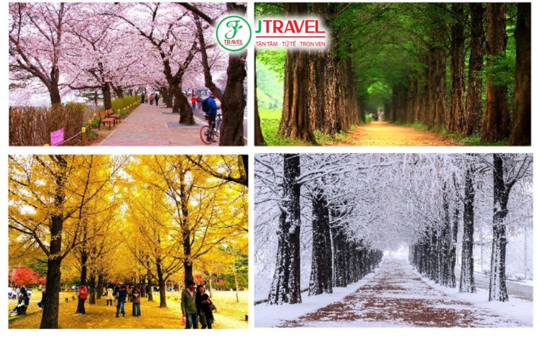 Nên Đi Hàn Quốc Mùa Nào Đẹp Nhất