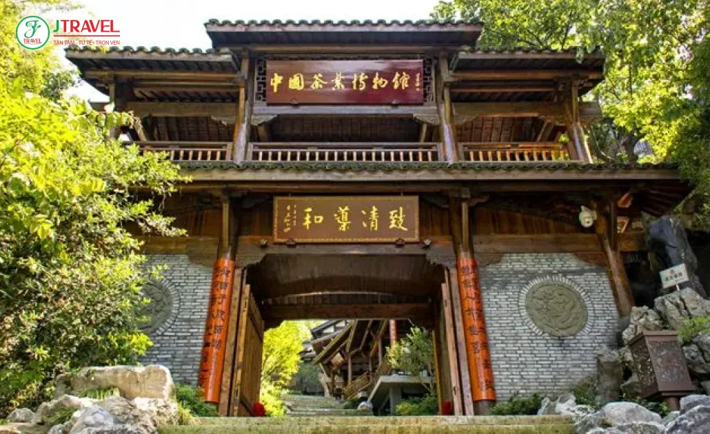 Bảo tàng Trà Trung Quốc Hàng Châu lưu giữ văn hóa trà đạo giữa đồi trà xanh