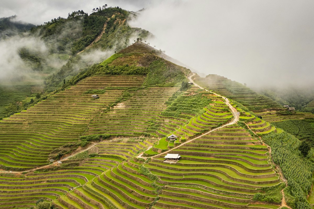 Ruộng bậc thang Mù Cang Chải ẩn hiện trong mây