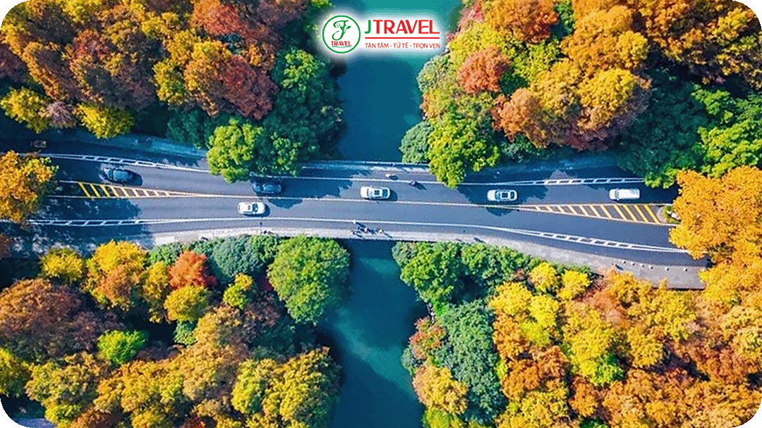 Đê Tô - Con đê rợp bóng cây xanh chạy dọc ven hồ là lối đi tản bộ lý tưởng cho du khách