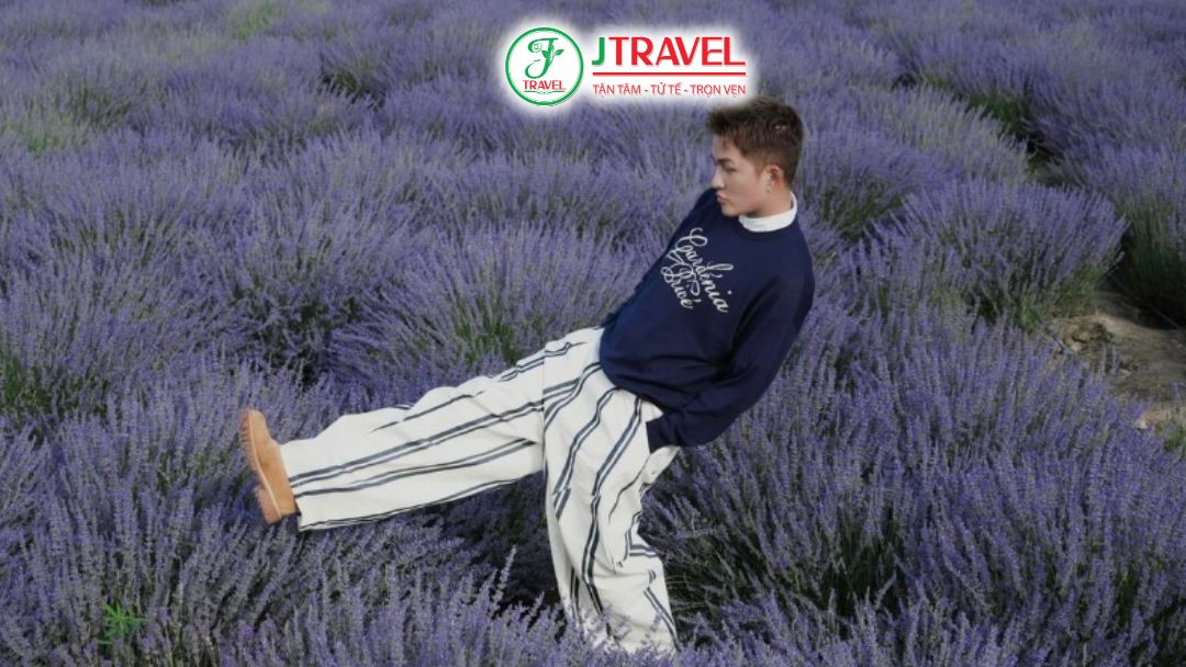 Cánh đồng hoa lavender Tân Cương nở rộ giữa tháng 6 với sắc tím đẹp nhất mùa hè