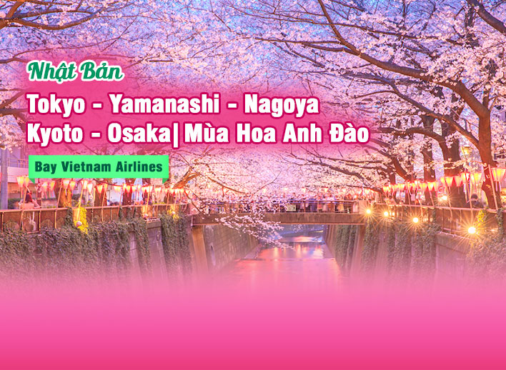 Tour Mùa Hoa Anh Đào Nhật Bản 6N5Đ: Tokyo – Yamanashi – Nagoya – Kyoto – Osaka