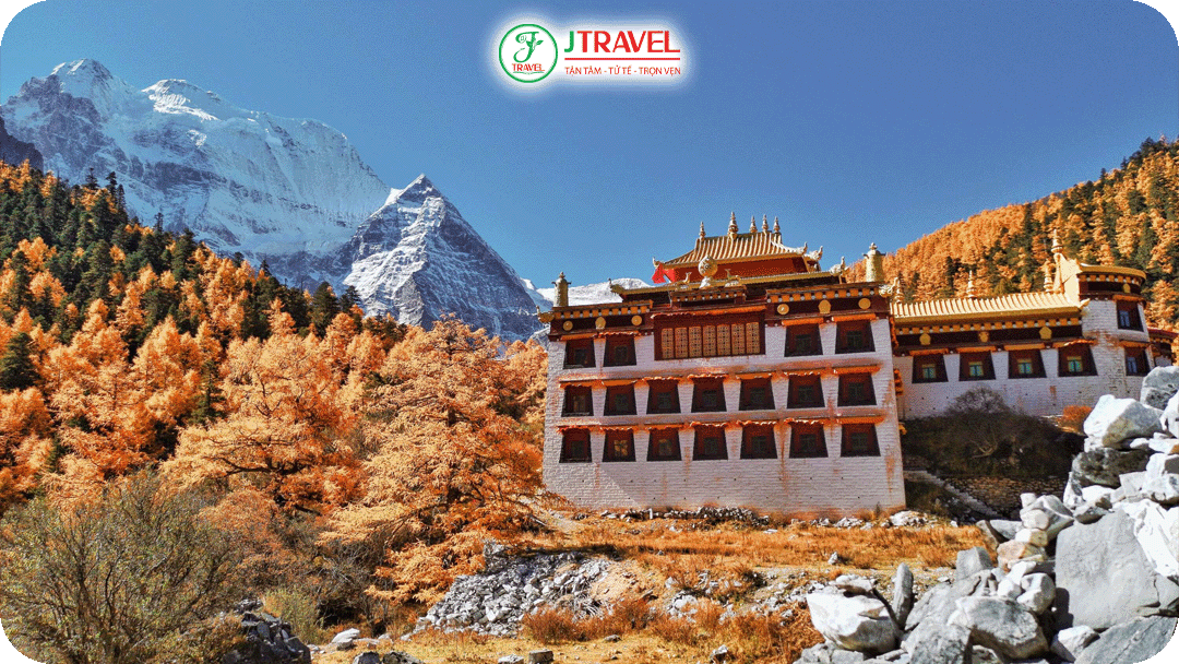 Tu viện Chonggu - Tu viện với rừng lá vàng đỏ bao quanh, phía xa là núi tuyết