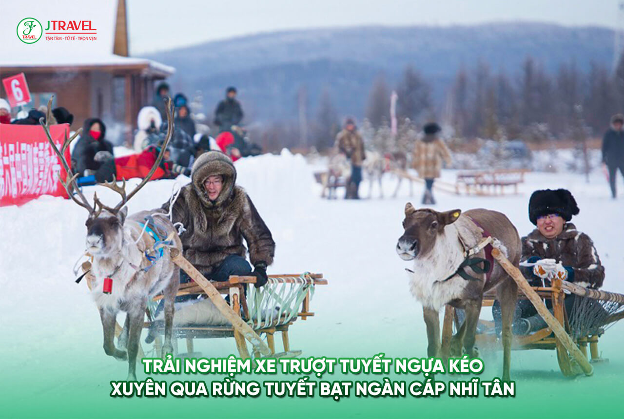 Trải nghiệm xe trượt tuyết ngựa kéo xuyên qua rừng tuyết bạt ngàn CÁP NHĨ TÂN
