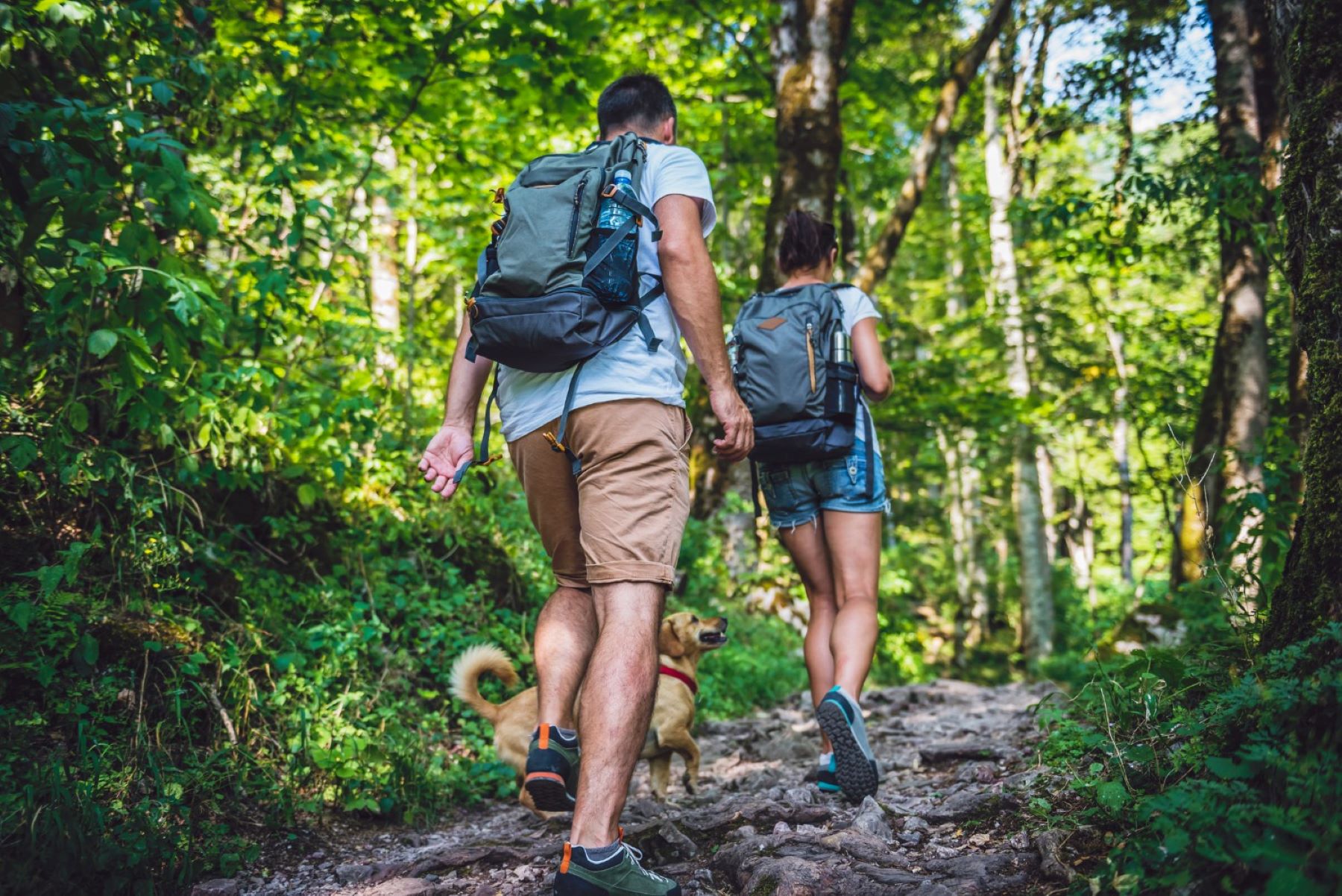 Tour Trekking: Cung đường Mã Đà - Hồ Trị An
