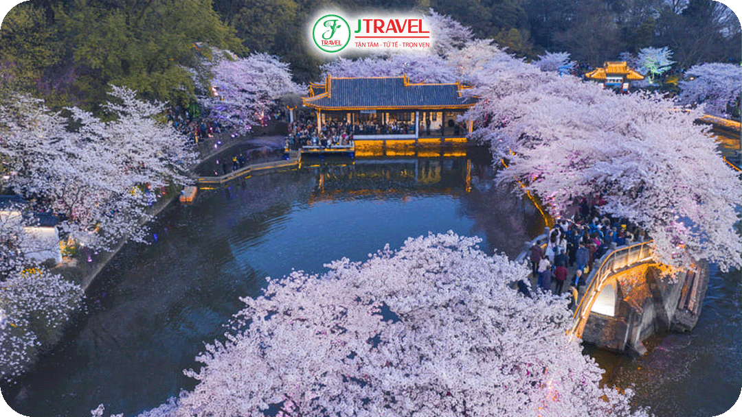 Thái Hồ – Nổi tiếng với những tuyến đường hoa kéo dài ven hồ