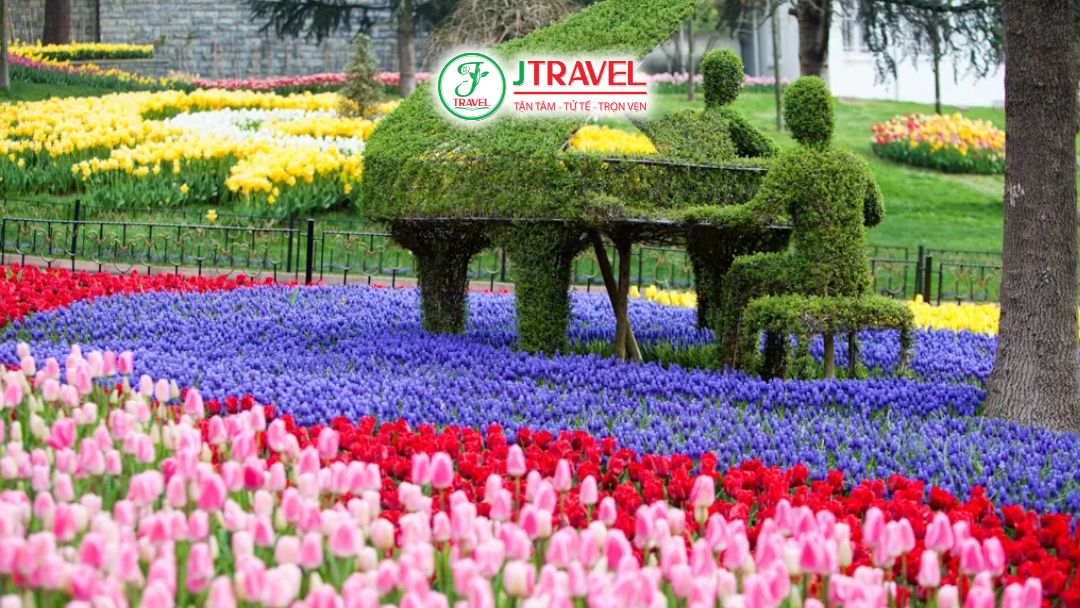 Hoa tulip rực rỡ tại Istanbul Thổ Nhĩ Kỳ tháng 4