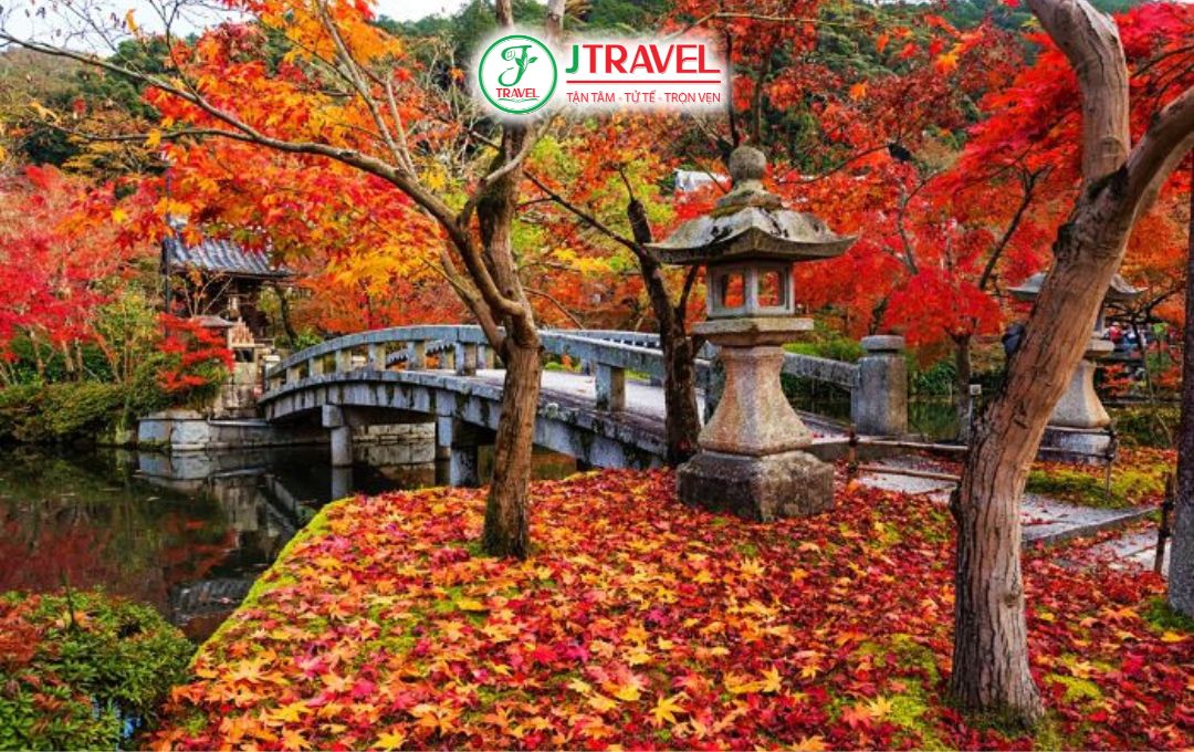 Nhật Bản mùa lá đỏ đầu tháng 12