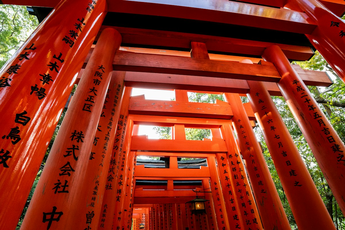 Đường hầm dài tạo bởi những cổng torii màu đỏ cam rực rỡ