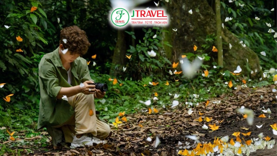 Du khách check in mùa bướm tại Vườn quốc gia Cúc Phương
