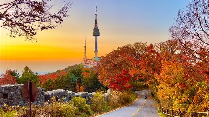 Tour Hàn Quốc Mùa Thu: Busan - Seoul 6N5Đ