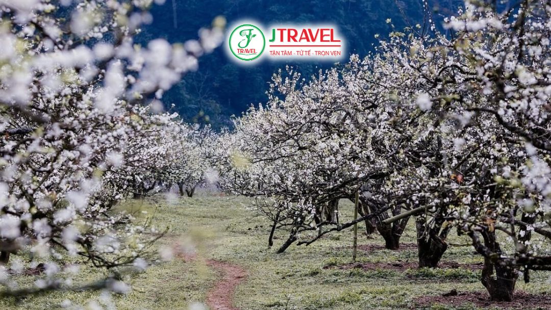 Mai Châu vào đông