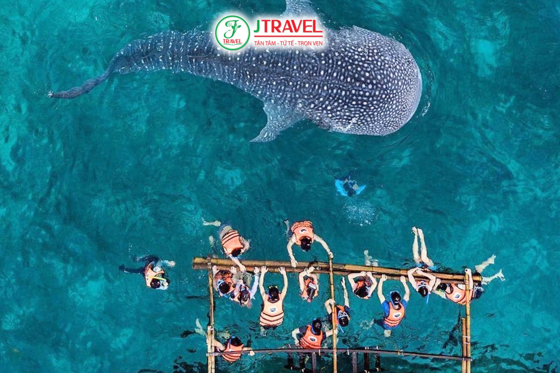 Khu vực xem cá voi nằm tại Tan-awan