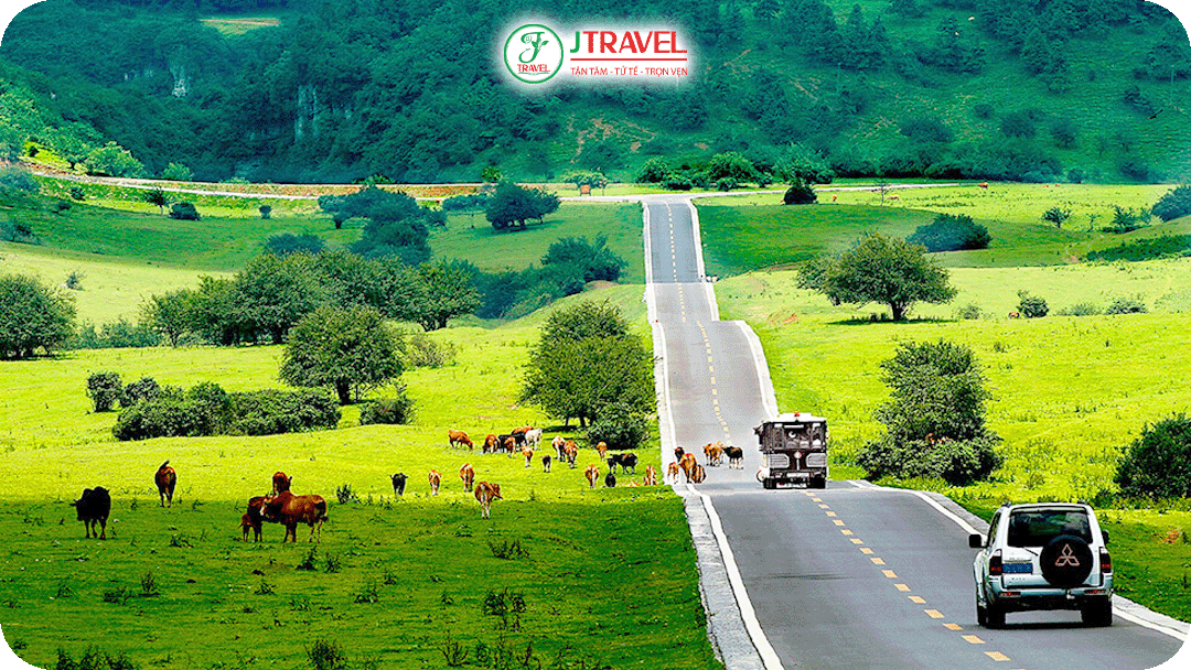 Tiên Nữ Sơn mang vẻ đẹp xanh mát với rừng nguyên sinh, thảo nguyên và đồng cỏ trải dài