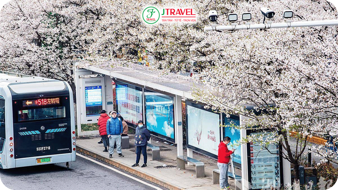 Xe bus là phương tiện phổ biến và tiết kiệm chi phí tại Vũ Hán