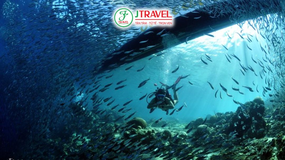 Chuẩn bị lặn cá mòi moalboal kính lặn ống thở