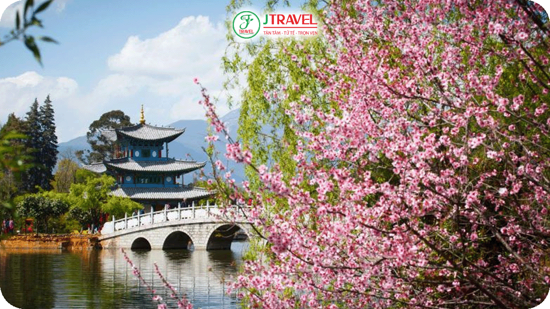 Du lịch Côn Minh không mua sắm cùng J Travel ngắm hoa anh đào