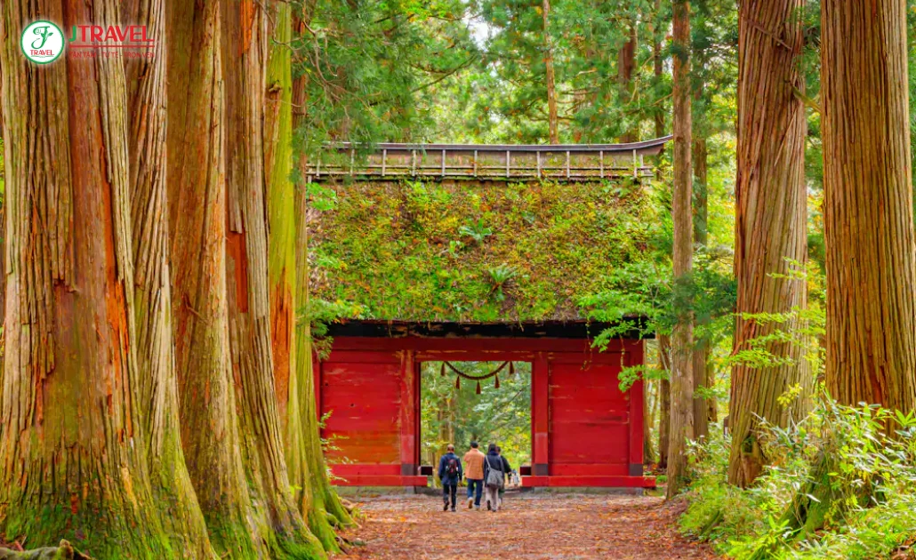 Togakushi Shrine ngôi đền linh thiêng giữa rừng núi